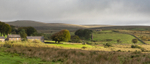 Dartmoor portfolio