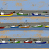 The Habour