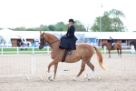 SBM_17154