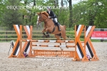 CLASS 19 SAT Senior Newcomers/ 1.10m Open portfolio