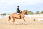SBM_03406
