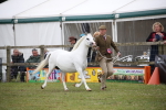 SBM_09773