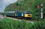 11th May 2008