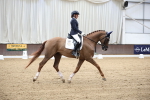 SBM_002912