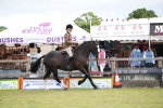 SBM_11232