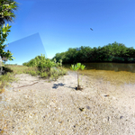 The Garden (Sanibel Island)