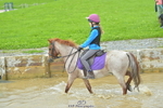 Bernie's Group Ride portfolio