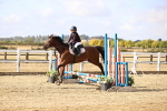 SBM_006091