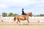 SBM_03316