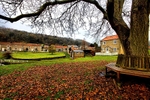 Autumn View