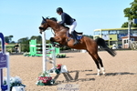 Cls 15-S Snr Foxhunter portfolio