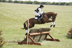 BVHT 140517  IXC -277