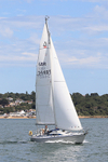 190729 DELPHINE GBR3448T 1Y3A6389
