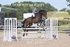 BPP_1434