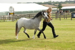 SBM_00427