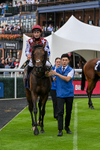 290826-Race 3-Fans Favourite-6503