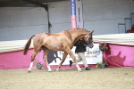SBM_06634