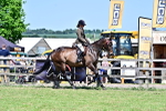 SBM_18135