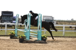SBM_002911