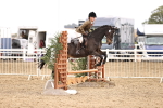 SBM_03624