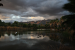 Agua Caliente Park