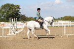 SBM_03140