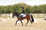 SBM_003624