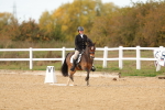 SBM_010562