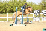 SBM_002509