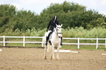 SBM_001365