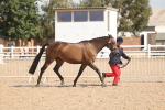 SBM_06849