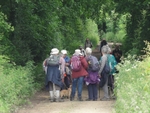 052 Gathering up the back markers to enter Snape