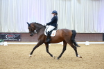 SBM_003881