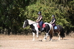 WJ6_8186