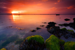 z1054 Gurnard Sunset
