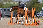 BPP_2587