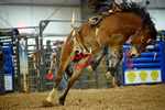3HRodeo_Frozen_Fury_FEB_2026_01411