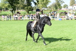 SBM_50337