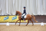 SBM_002331
