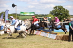 SBM_16590