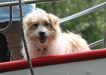 110702 BELINA IMG_7385