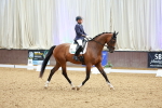 SBM_004332