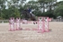 BPP_3332