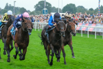 080925-Race 5-Elmonjed-9440