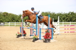 SBM_004360