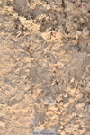 230511A-191237-01874