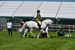 SBM_03718