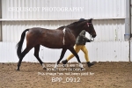 BPP_0912