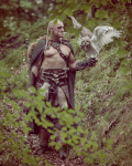 Norse s-132