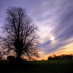 Saltram Park at dusk